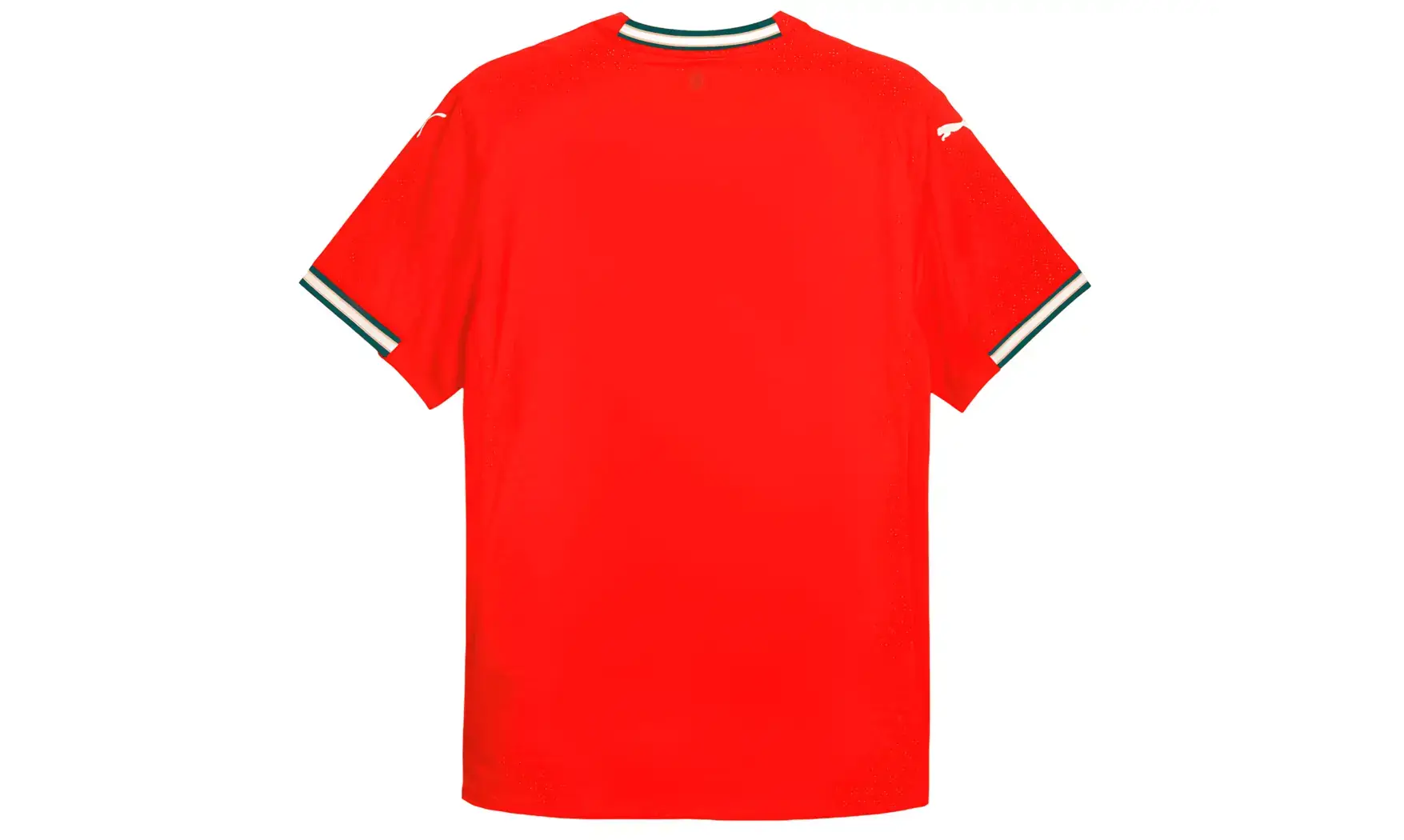Portugal Shirt 2025/2026 Authentic