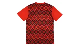 Maillot Egypte 2025/2026 Entrainement